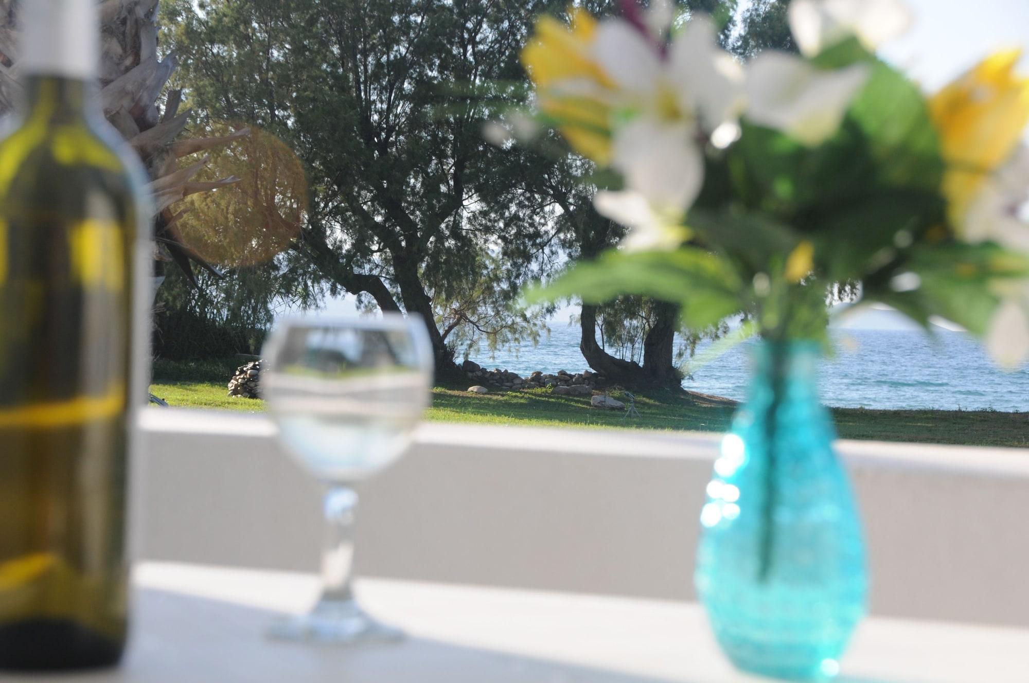 Irina Beach Hotel Tigaki Zewnętrze zdjęcie